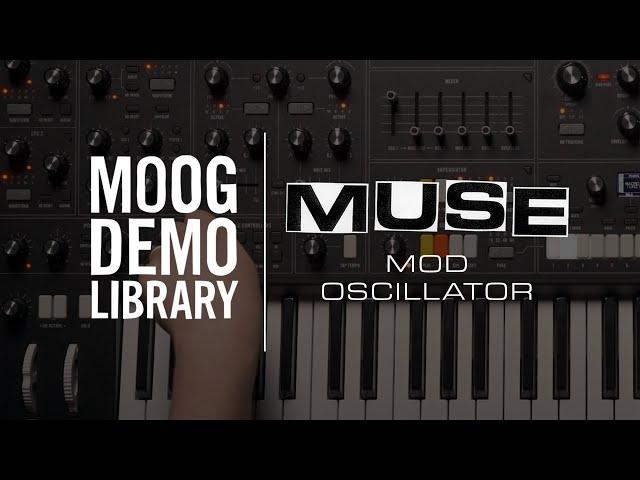 Muse | Mod Oscillator