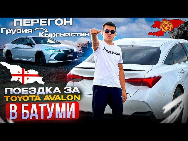 Поездка в Батуми за TOYOTA AVALON  | ПЕРЕГОН АВТО