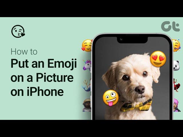 How To Put an Emoji on a Picture on iPhone | 3 Easy Methods |