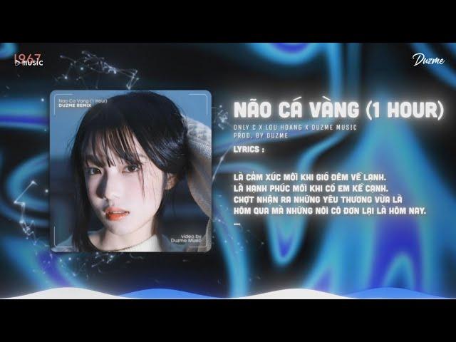 Não Cá Vàng (1 Hour) - OnlyC x Lou Hoàng | Duzme Remix | Chẳng còn những lúc mình nắm tay bước đi...