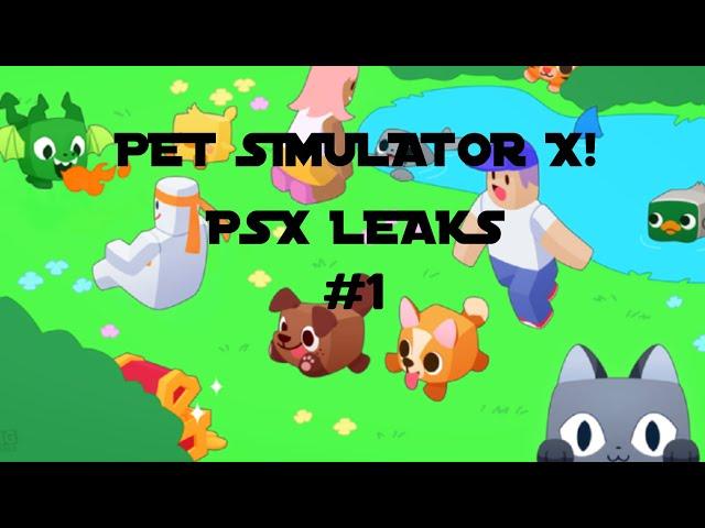 NEW PET SIMULATOR UPDATE LEAKS! | PSX - LEAKS #1