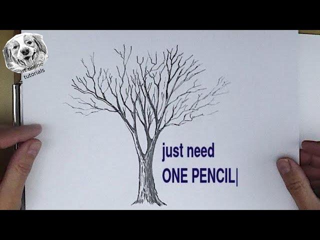 Drawing Course #1 How to Draw a Tree with Just ONE Pencil