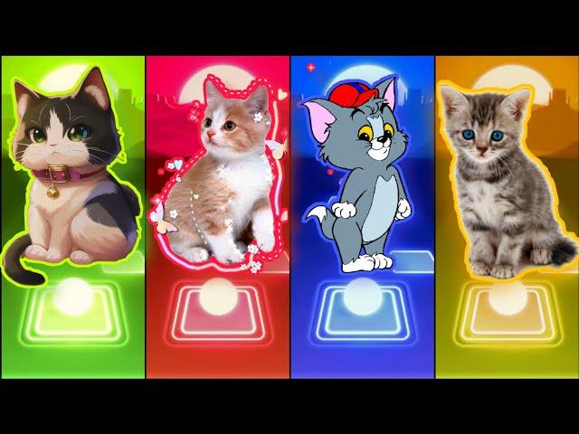 Tiles Hop EDM Rush Cute Cat Team BTS (Fake Love vs Savage Love) Imagine Dragons ( Enemy & Believer)