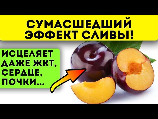 Почему врачи это скрывают?! Слива изменяет тело человека, если ее... + рецепт варенья