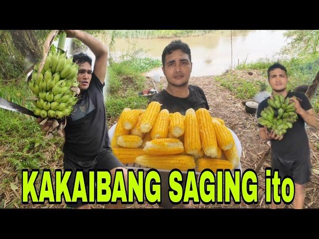 KAKAIBANG SAGING TO