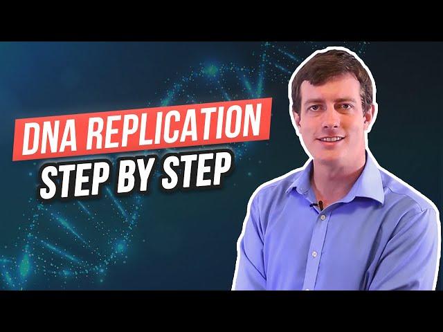 6 Steps of DNA Replication