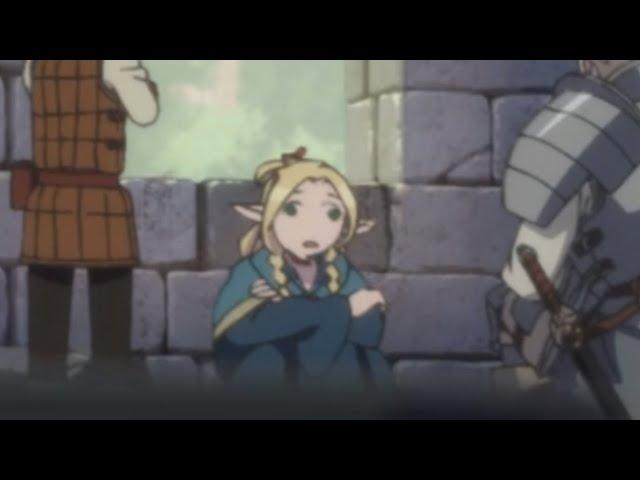 Dumb elf Marcille | dungeon meshi