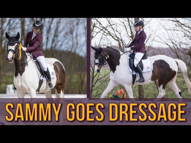 SAMMY GOES DRESSAGE | 1. Platz | BinieBo