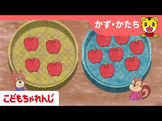 どっちが　おおい｜知育・かず・かたち｜2・3歳向け｜こどもちゃれんじぽけっと【しまじろうチャンネル公式】