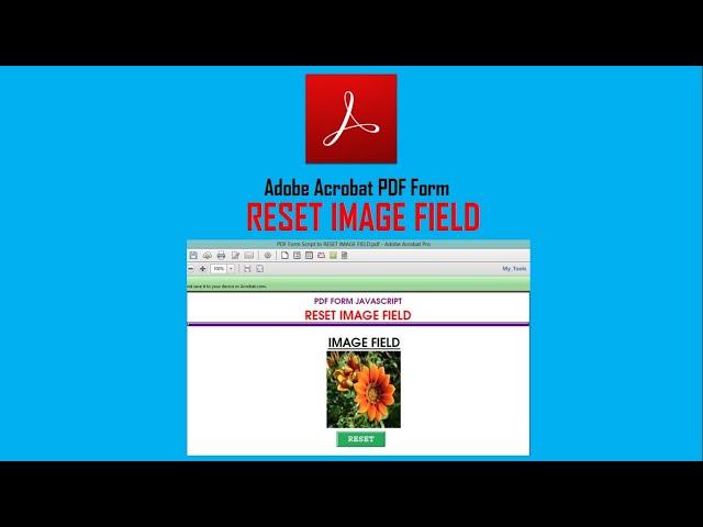 Adobe Acrobat PDF Form | PDF Form Script to RESET IMAGE FIELD