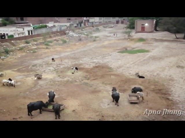 THE VIDEO BASED ON CITY  || JHANG SADDAR ||