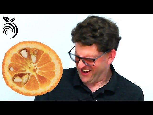 Tasting a Bizarre Citrus Fruit from Soviet Russia