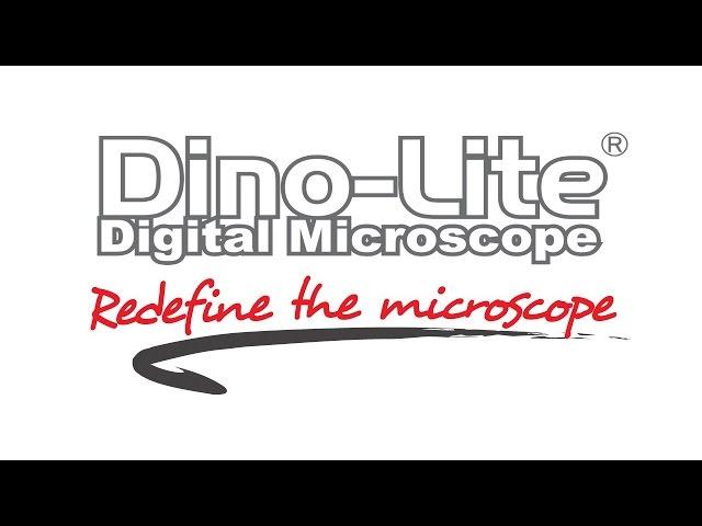 Dino-Lite Digital Microscope Cameras