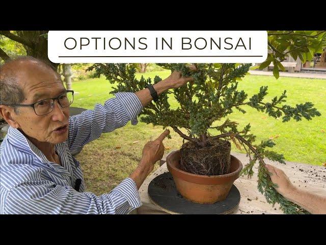 Options for Creating Bonsai