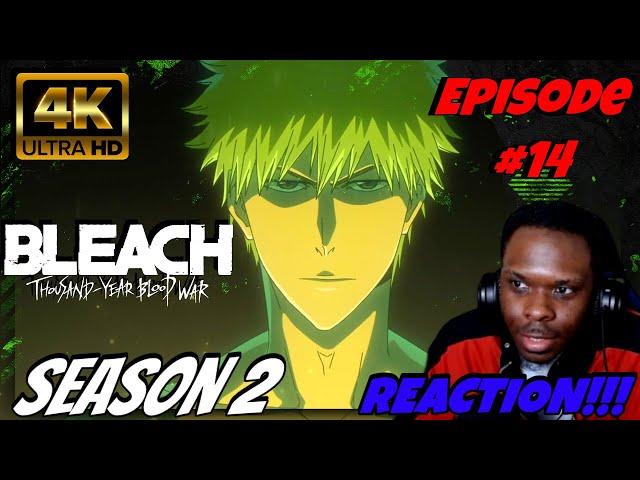 So It Begins! BLEACH: THOUSAND YEAR BLOOD WAR | SEASON 2 Episode 14 Reaction!!!