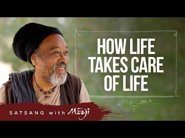 Kuidas elu hoolitseb elu eest ~ Mooji (How Life Takes Care of Life)