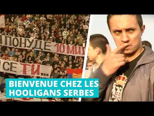 BIENVENUE CHEZ LES HOOLIGANS SERBES - L'Effet Papillon