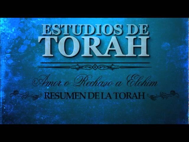 Estudios de Torah 1  Amor o Rechazo a Elohim   Resumen de Torah