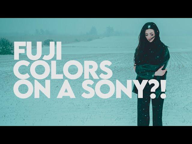 Get Fujifilm colours for any camera system! (Colbalt Image for a Sony A7iv Owner)