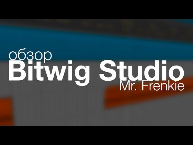 Mr. Frenkie: обзор Bitwig Studio