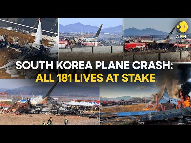 South Korea Plane Crash: At Least 120 Dead As South Korean Plane Plunges On Landing | WION Originals