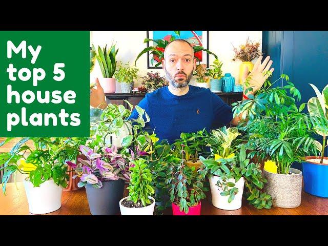 My Favorite Houseplants | Indoor Plants You Should Own