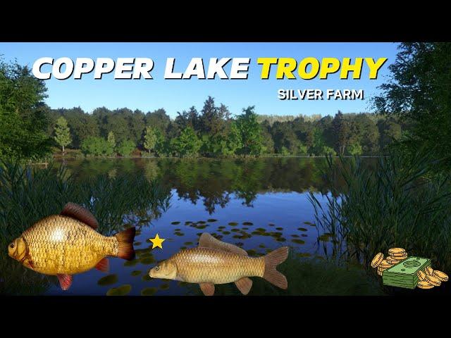 Russian Fishing 4 Copper lake | Silver Spot #25