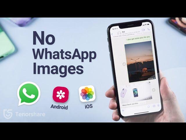 Best Way to Fix WhatsApp Images Not Showing in Gallery (Android/iOS)