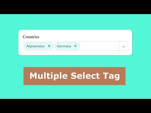 Pure JavaScript - HTML Multiple Select Tag
