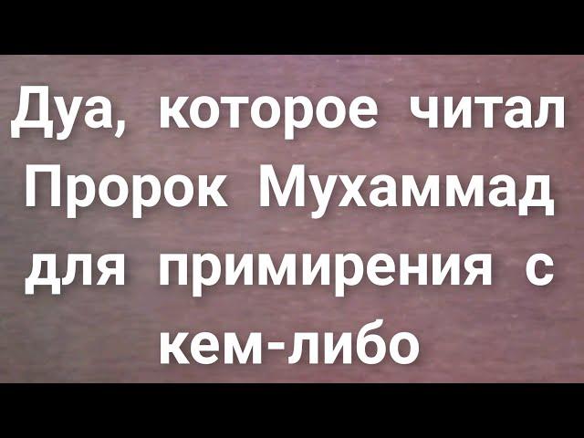 Дуа, которое читал Пророк Мухаммад для примирения с кем-либо