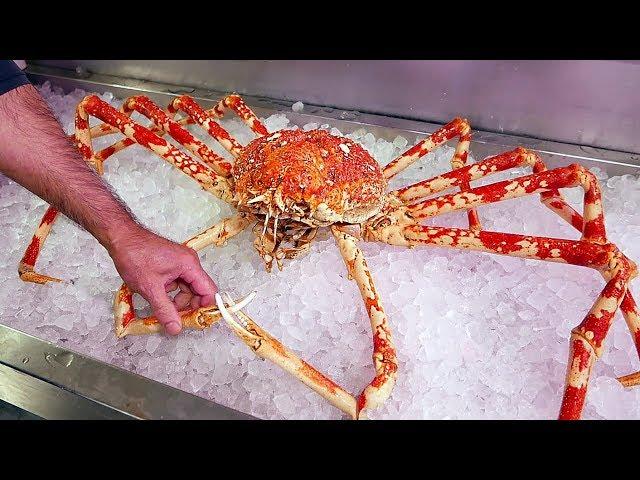 Japanese Street Food - $500 GIANT SPIDER CRAB Seafood Okinawa Japan