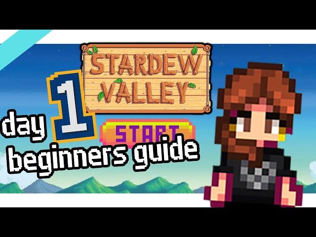 Day 1 Beginners Guide Stardew Valey