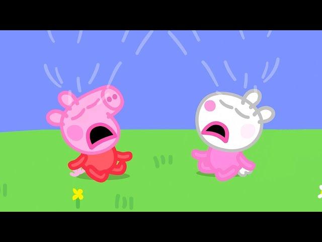 Bébé Peppa et Bébé Suzy | Peppa Pig Français Episodes Complets