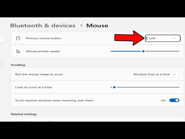 How To Swap Left and Right Mouse Buttons in Windows 11