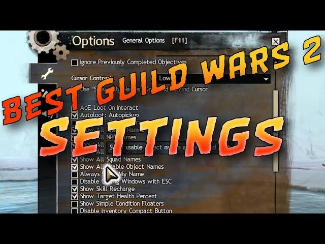 BEST Guild Wars 2 Settings For Optimized Gameplay!