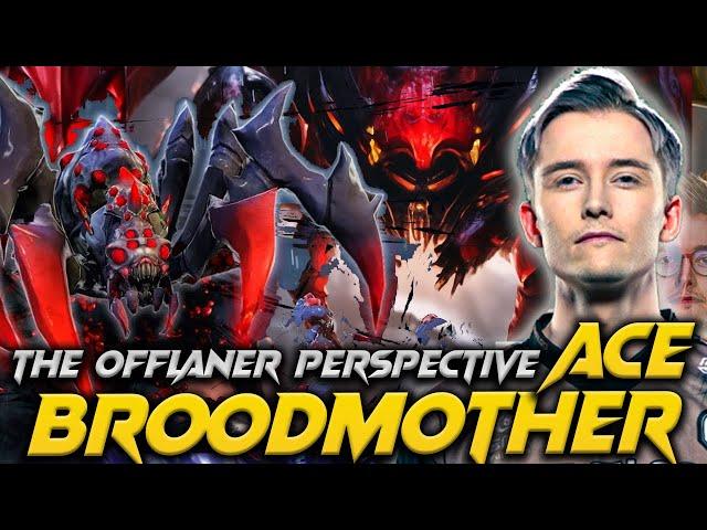 Ace Broodmother The Offlane - Entity VS Gaimin Gladiators : Riyadh Master Dota 2 #ace #broodmother
