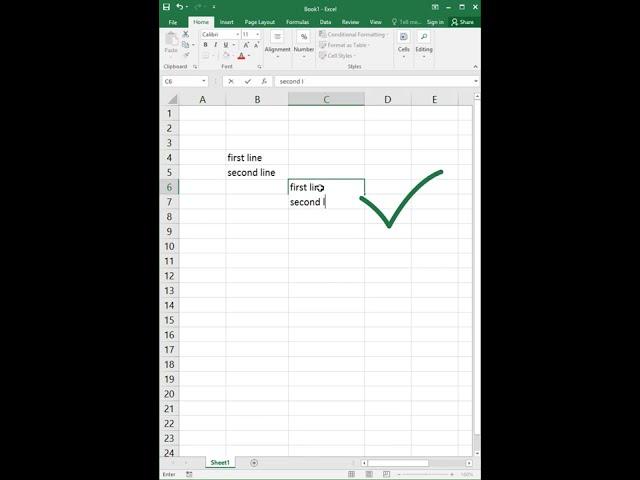 Multiple Lines in One Cell in MS Excel