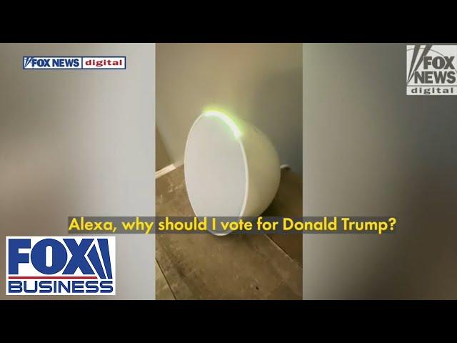 Amazon Alexa gives shockingly different answers about Trump and Harris