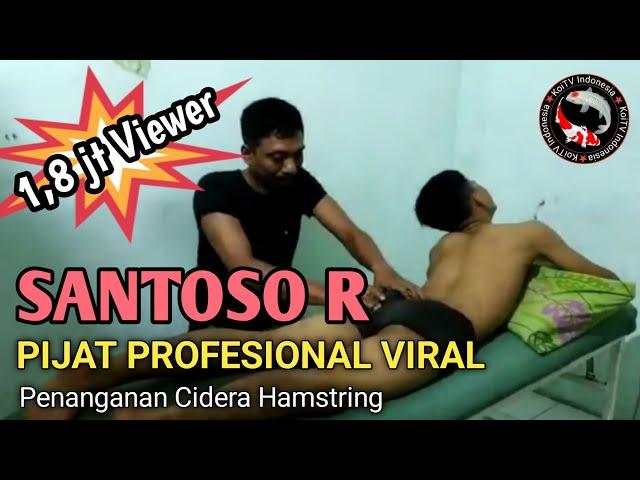 PIJAT PROFESIONAL VIRAL 1,8 JT VIEWER ( SANTOSO R )