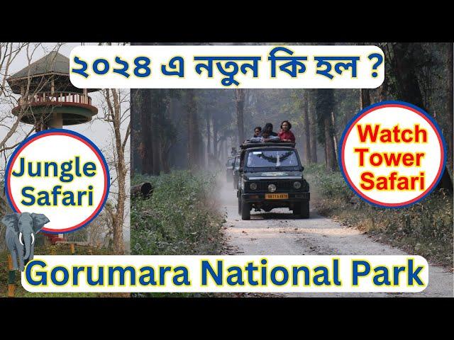 Gorumara National Park || Dooars Tour 2024| | Jeep Safari || Dooars Jungle Safari Full Details | |