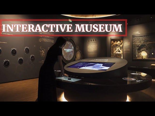 Interactive Museum Exhibition With Digital Exhibits and Art Installations Design