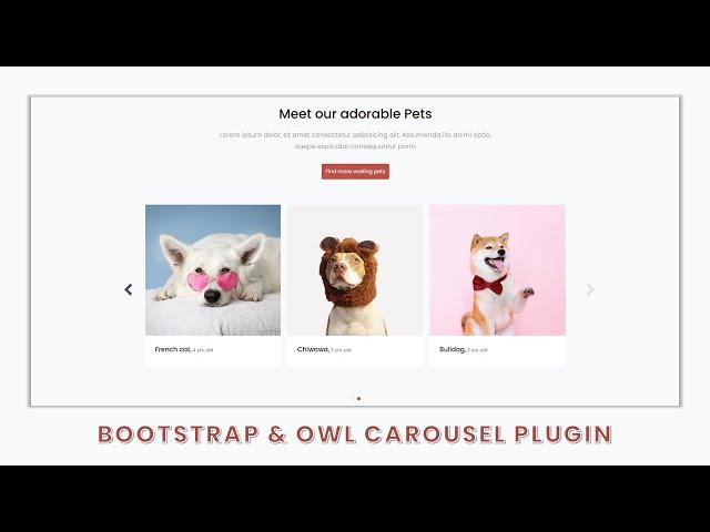 Design an Image Media Slider Using Bootstrap 5 & Owl Carousel Plugin