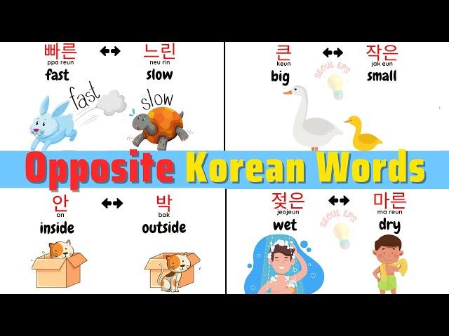 Korean Opposite Words |  반대들