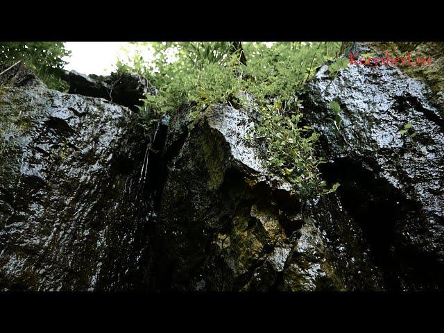 Поход с ночевкой в Подмосковье. Полушкинские карьеры, лучший пеший маршрут!