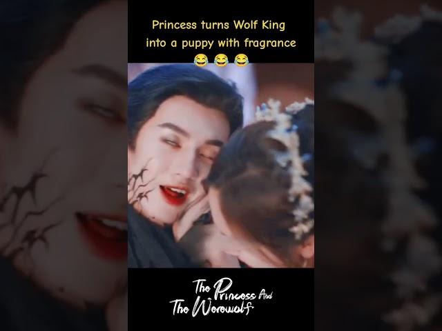 She makes the wolf king her pet#chenzheyuan #wuxuanyi #theprincessandthewerewolf #shorts