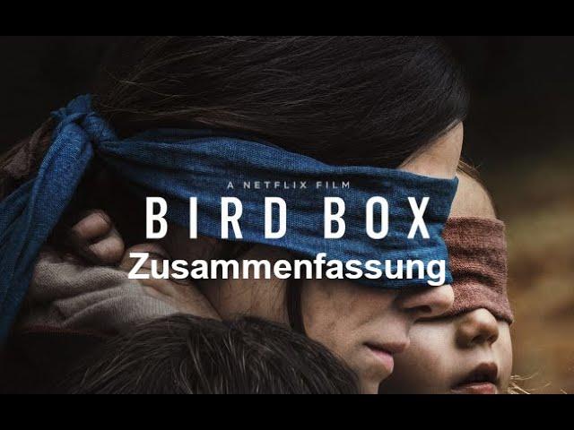 Bird Box - WAS BISHER GESCHAH