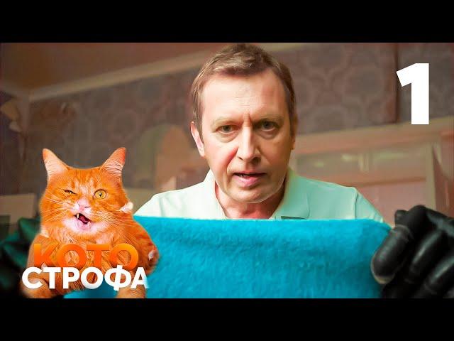 Котострофа | Серия 1