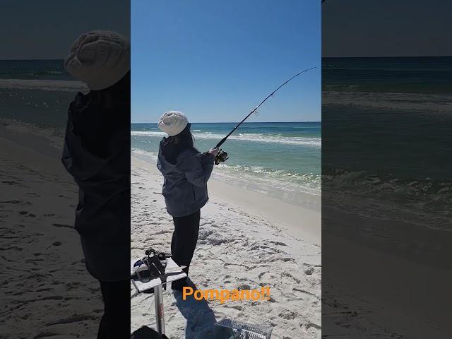 The best weekends involve fishing!!    #fishing #gulfcoast #pennreels #pompano #flordia #follow