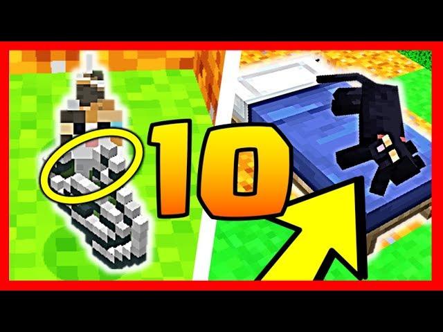 10 CHOSES QUE VOUS NE SAVEZ PAS SUR LES CHATS MINECRAFT 1.14 !