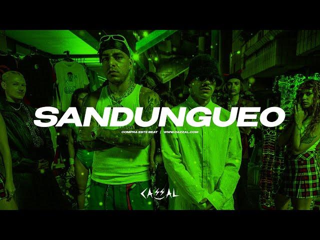 Ryan Castro X Feid Type Beat | Instrumental Reggaeton Beat 2024 | Reggaeton Type Beat | "SANDUNGUEO"